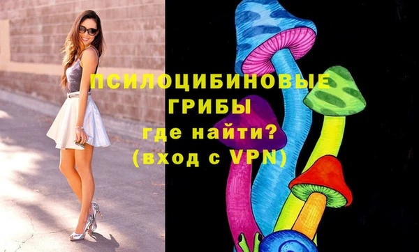 МДПВ Белокуриха