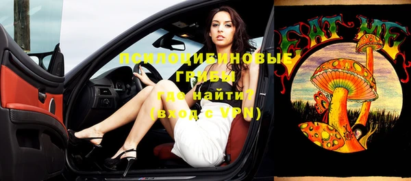 прущие крисы Балахна