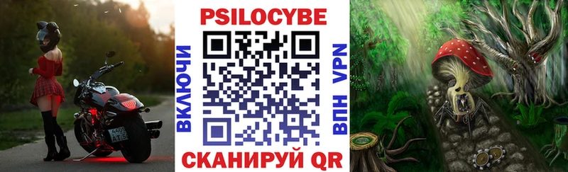 мега рабочий сайт  Черноголовка  Галлюциногенные грибы Magic Shrooms 